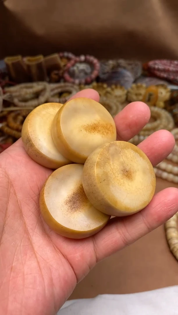 其他鹿骨P1297-鹿角素饼子