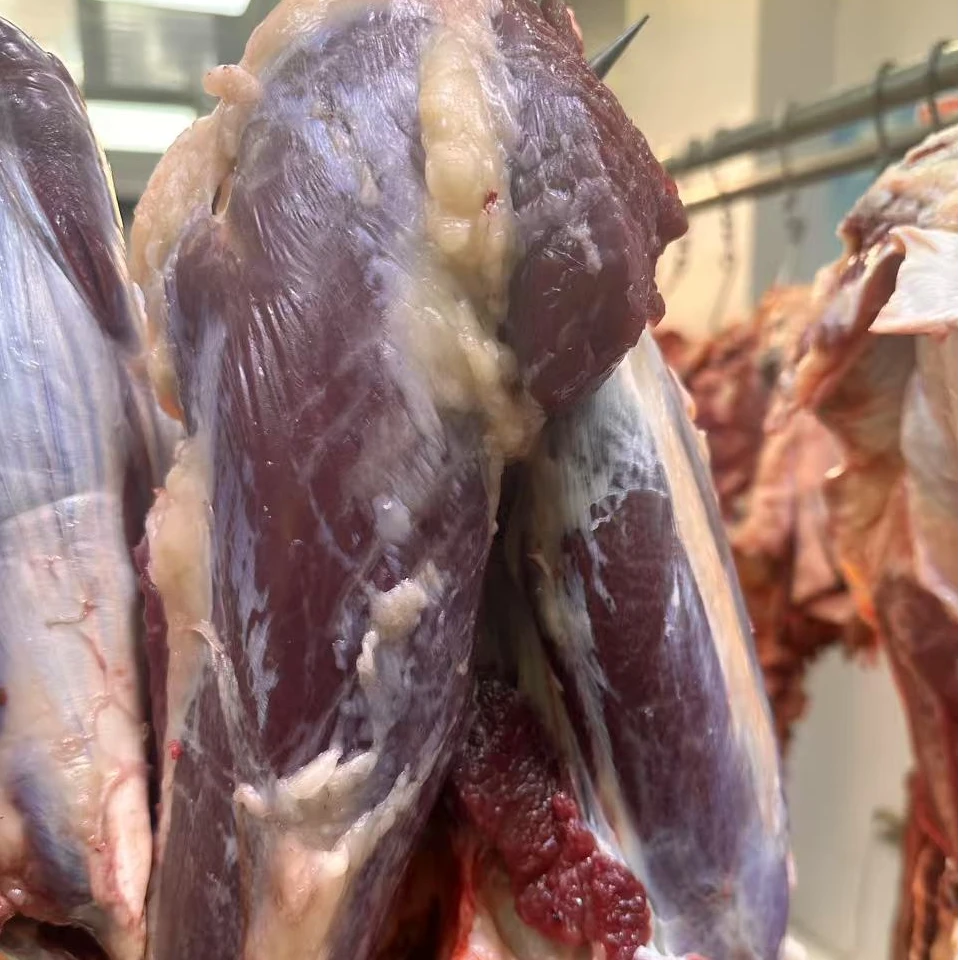 内蒙古呼伦贝尔 草饲小黄标新鲜牛腱子5斤