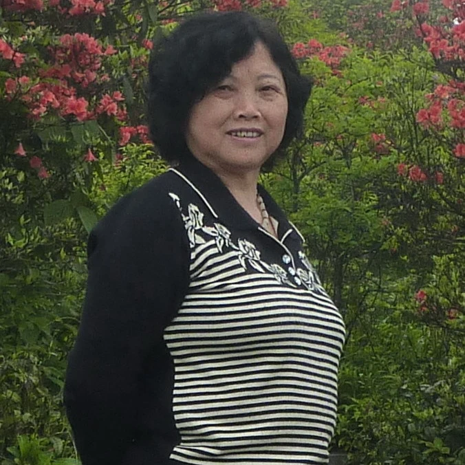 齐燕君/老师链接/书画/收藏/多样性发货