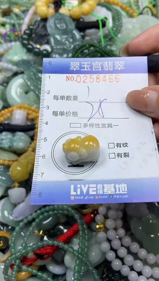 颈饰未镶嵌翡翠闪购C0258466