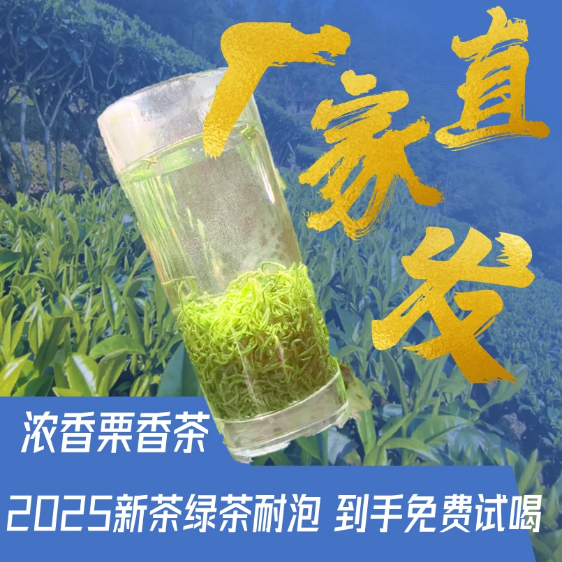 2025高档碧螺春新茶绿茶明前手工采摘浓香栗香清爽回甘口粮茶散装