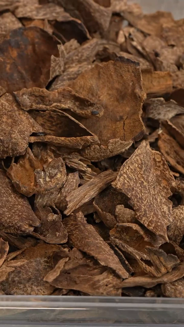 沉香沉香碎屑富国岛料2克多样性发一