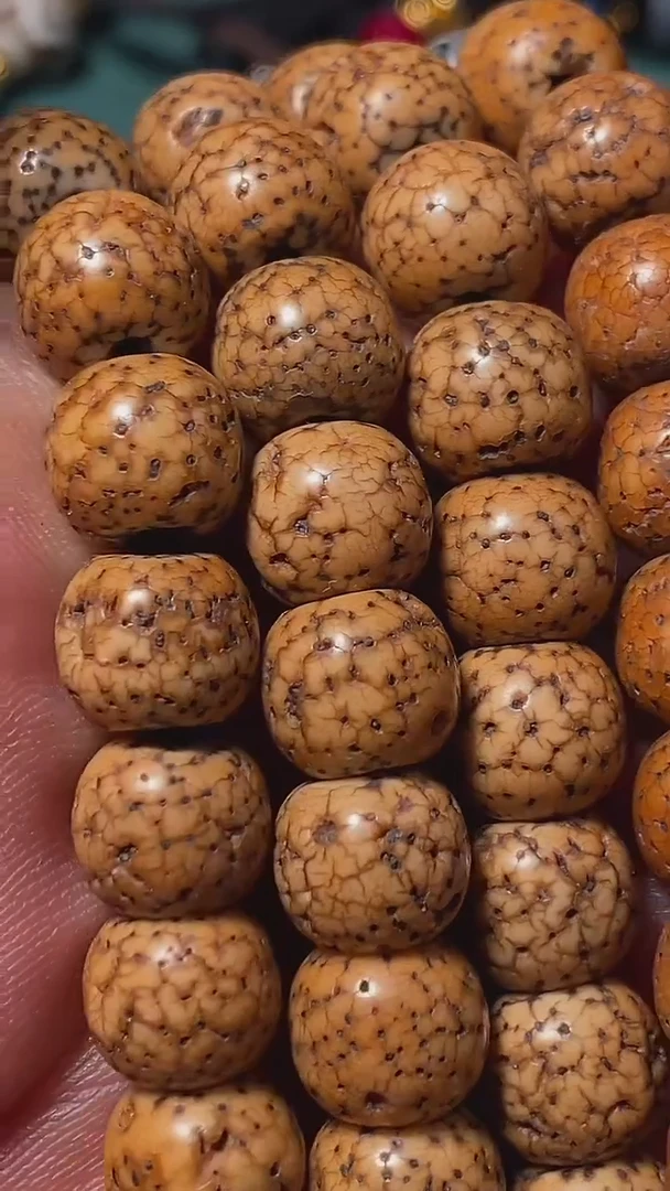 老星月（多样性发货，发其一）