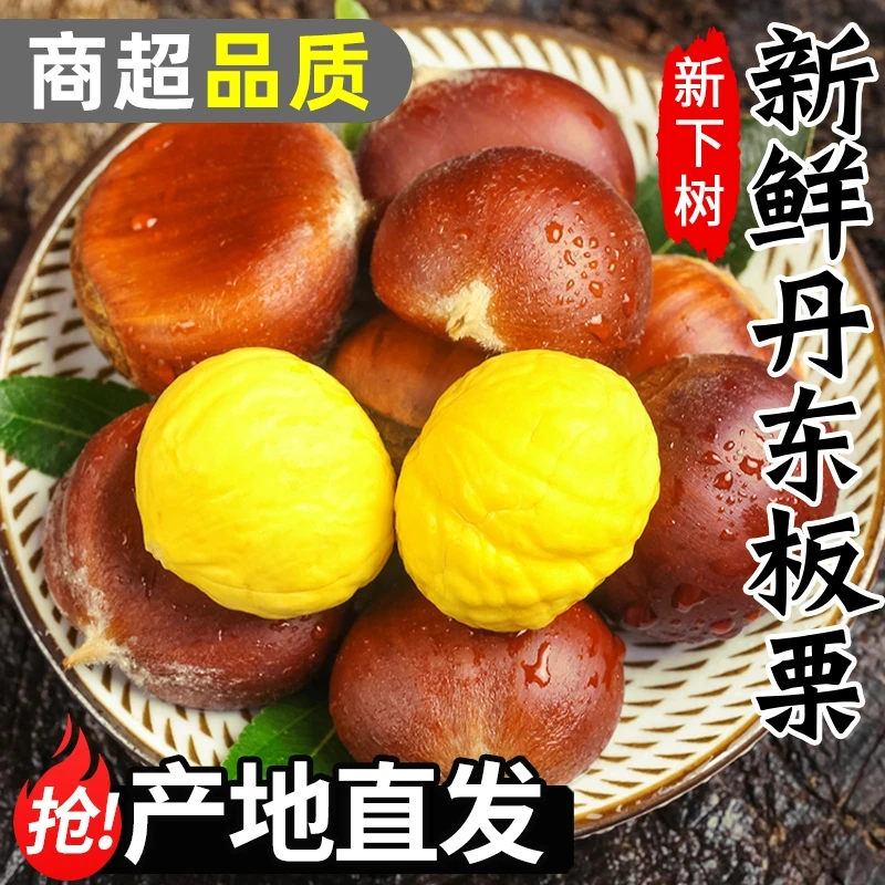 【买三斤送两斤】到手5斤丹东高山新鲜香甜大果板栗产地直发难剥皮