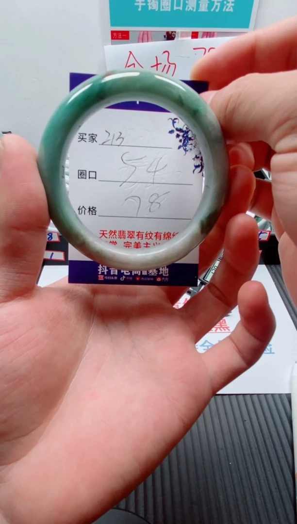 未镶嵌手镯翡翠213
