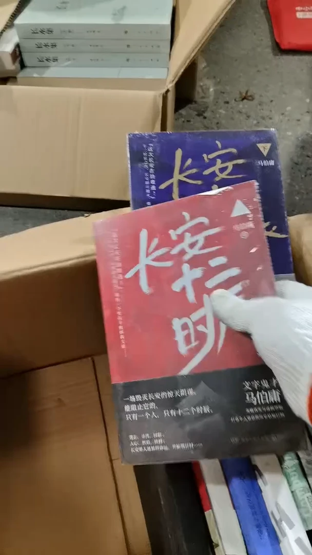 长安十二时辰两本一套 微瑕微瑕15号