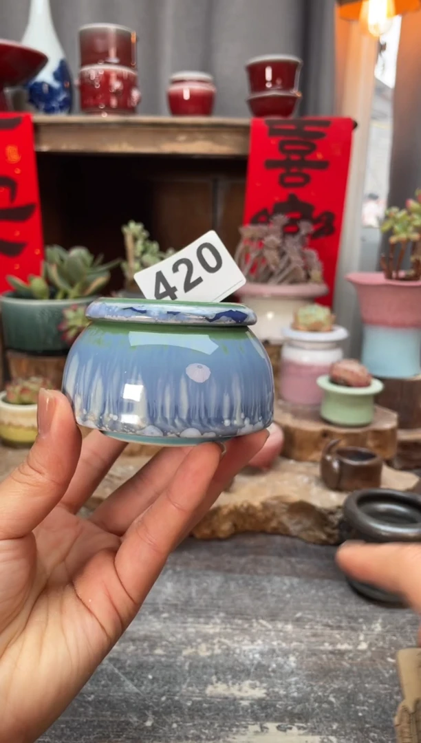 【闪购商品】摆件420知木小芳花盆