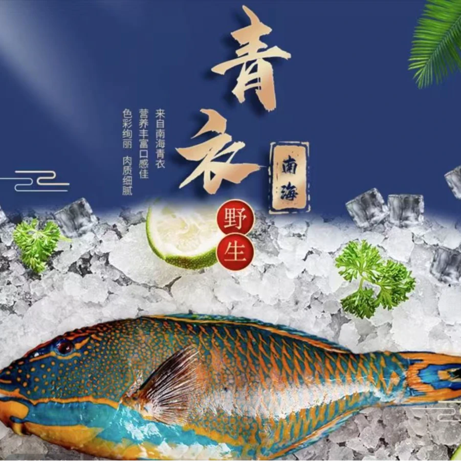 [朱有鱼]深海捕捞海鲜斑类青衣鱼顺丰包邮