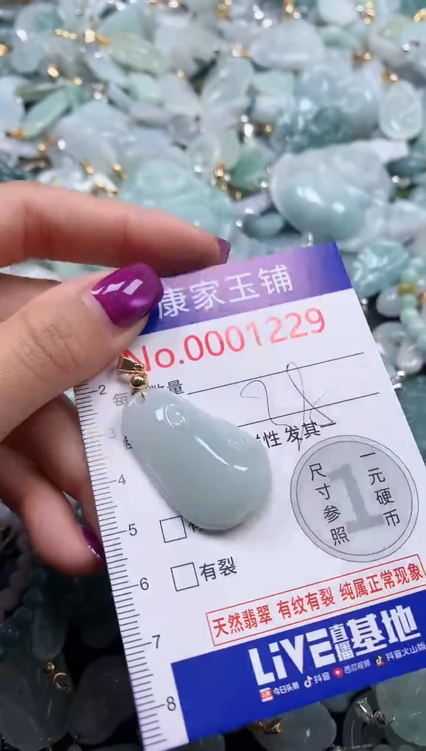 颈饰未镶嵌翡翠1229