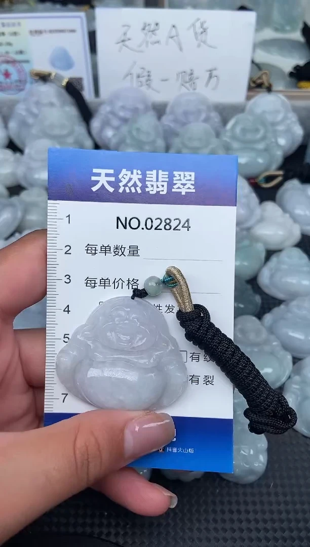 颈饰未镶嵌翡翠纯天然A货翡翠2824