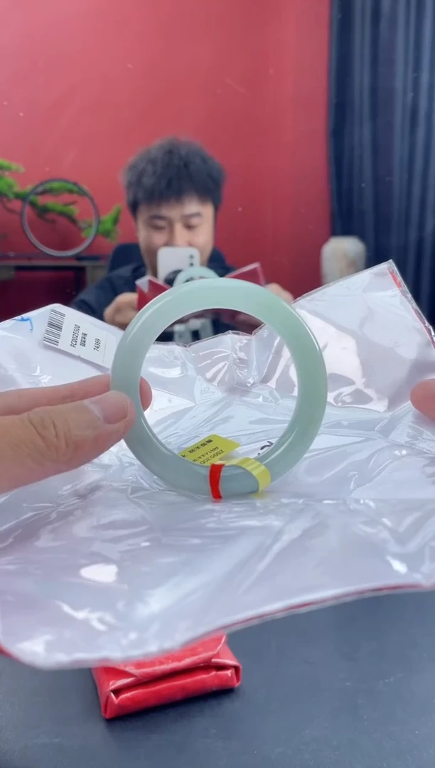 未镶嵌手镯翡翠13
