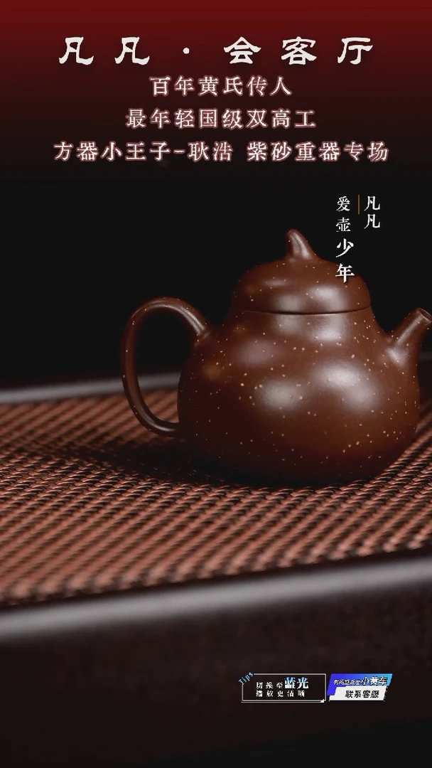 茶壶紫砂凡凡会客厅 紫砂壶16