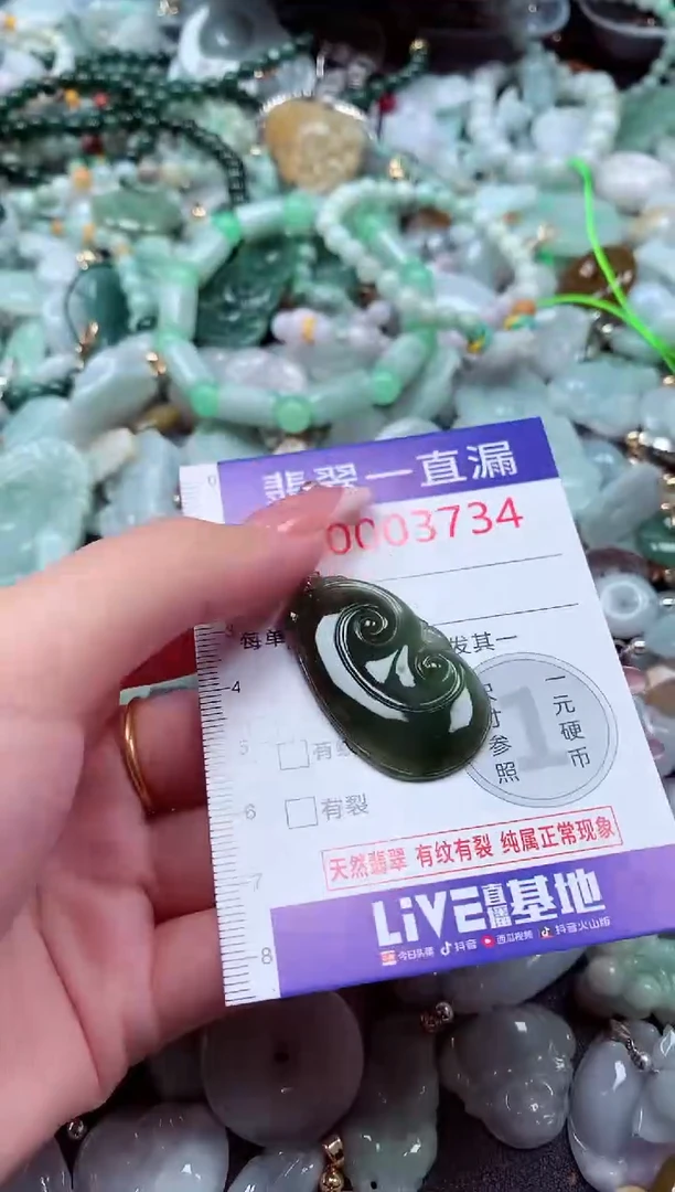 翡翠未镶嵌吊坠(不含链)3734