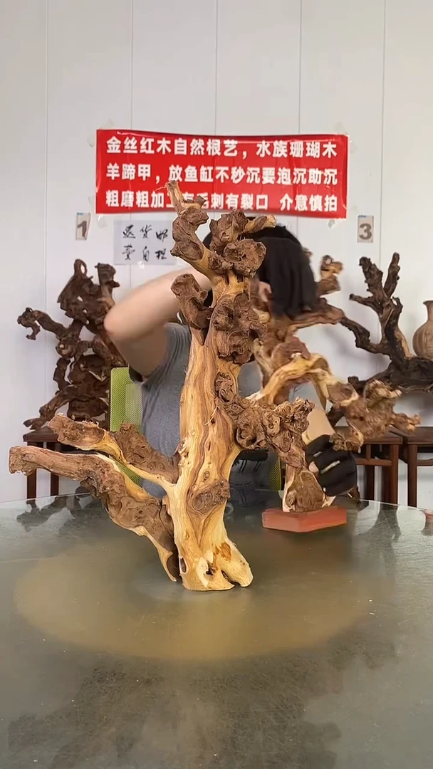 香榧木老*金丝红木   羊蹄甲
