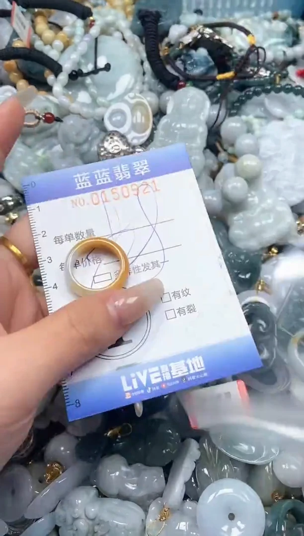 【闪购商品】翡翠颈饰未镶嵌闪购0150921多样性发其一