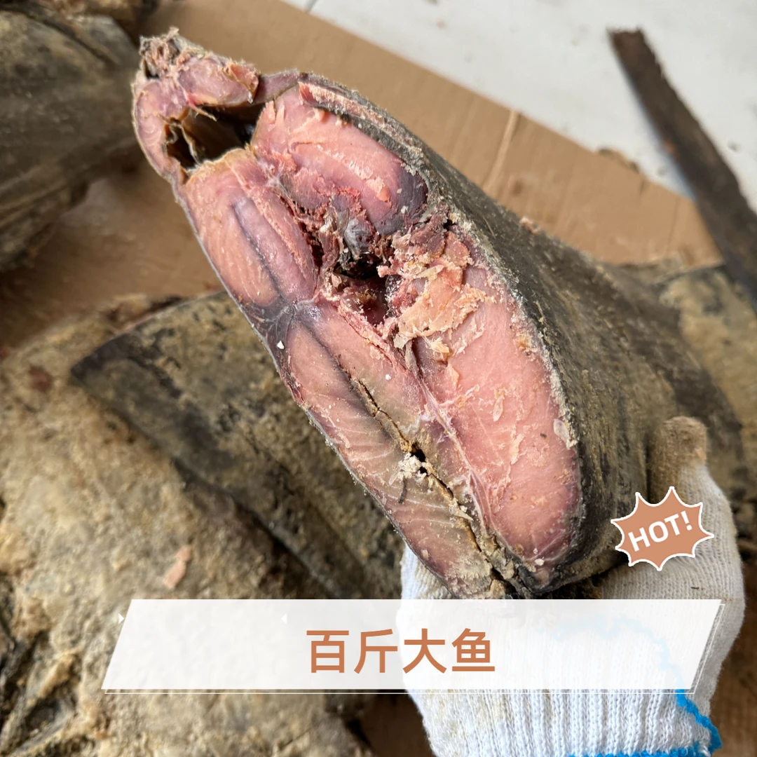 小新海产 百斤梅香臭香汤腌网红大金枪鱼 去头尾 中段净肉 包邮