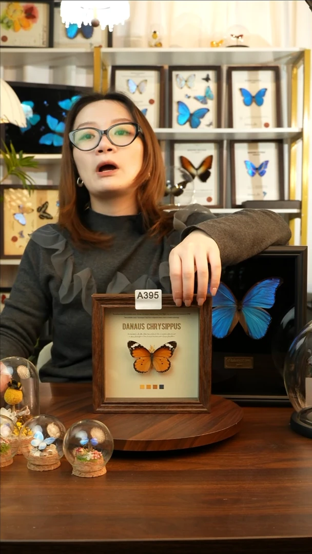 金斑蝶-（6寸方胡桃色新款框）A395