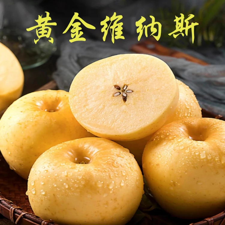 正宗黄金维纳斯苹果4.5-5斤 中果/大果