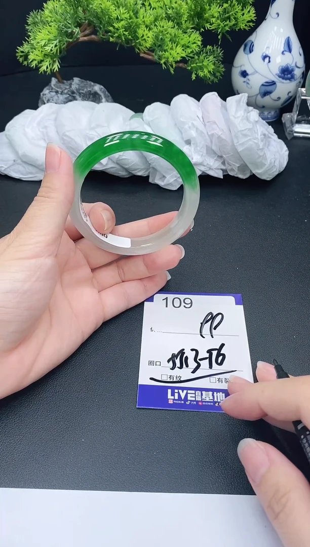 未镶嵌手镯翡翠109
