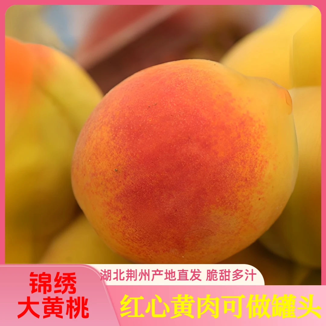 夏季水果锦绣大黄桃新鲜脆甜桃子红心黄肉毛桃黄金蜜桃