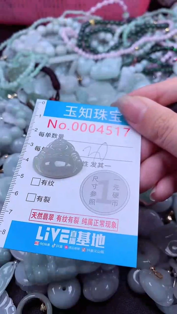 翡翠未镶嵌吊坠(不含链)4517