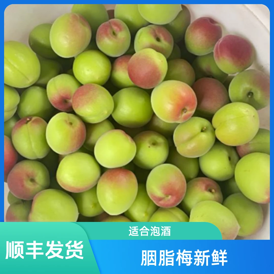 【顺丰+现货】诏安胭脂红梅青梅鲜果新鲜现摘酸脆泡酒梅子水果1/5斤