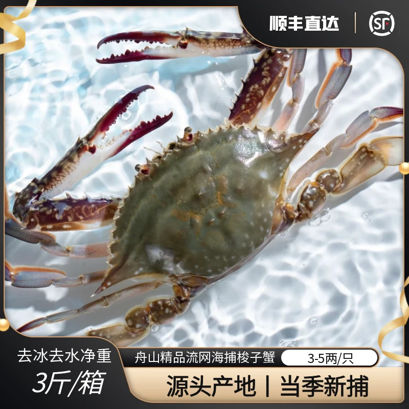 【活蟹】舟山梭子蟹 公蟹 3-5两/只  净重3斤左右/箱 【保鲜不保活】X