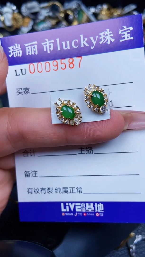 翡翠银S925镶嵌颈饰9587