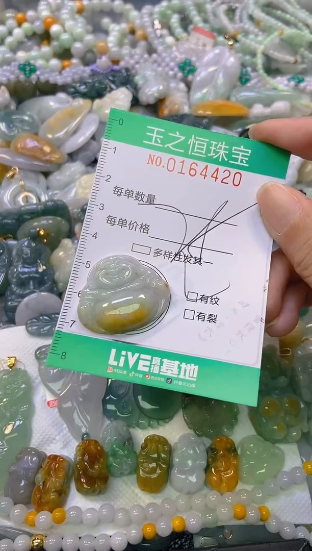 颈饰未镶嵌翡翠闪购0164420