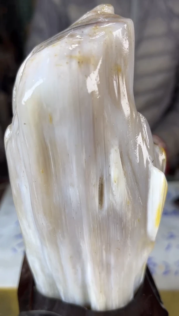 未镶嵌珠宝奇石硅化玉缅甸天然树化玉精品居家摆件