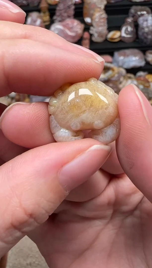 颈饰未镶嵌硅化珊瑚（珊瑚玉）566