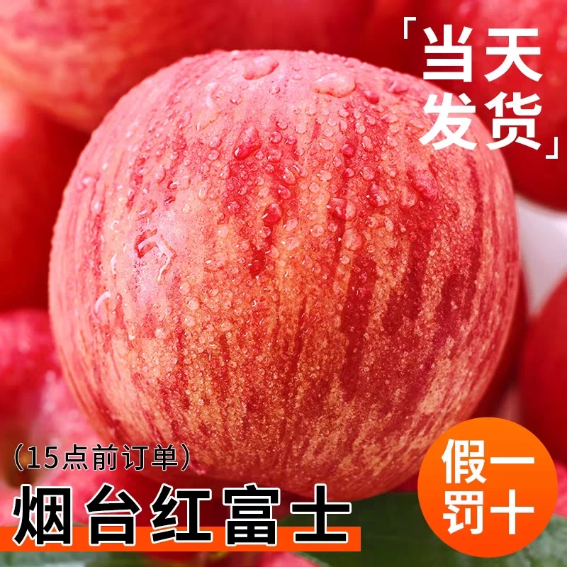 烟台栖霞红富士苹果大果应当季新鲜水果整箱山东栖霞脆甜冰糖心