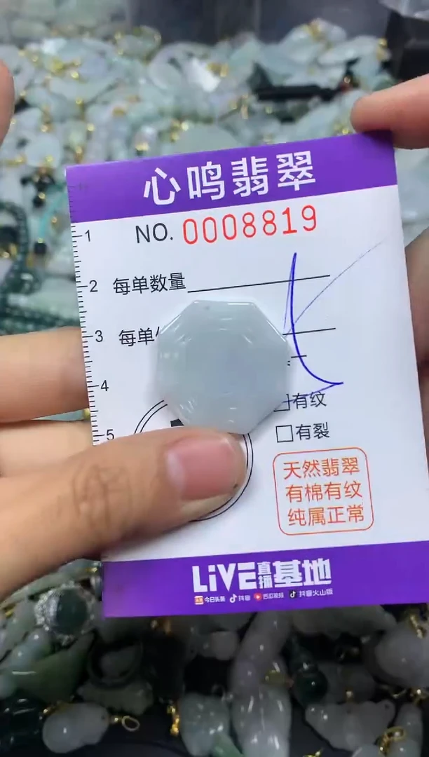 【闪购商品】翡翠颈饰未镶嵌闪购008819