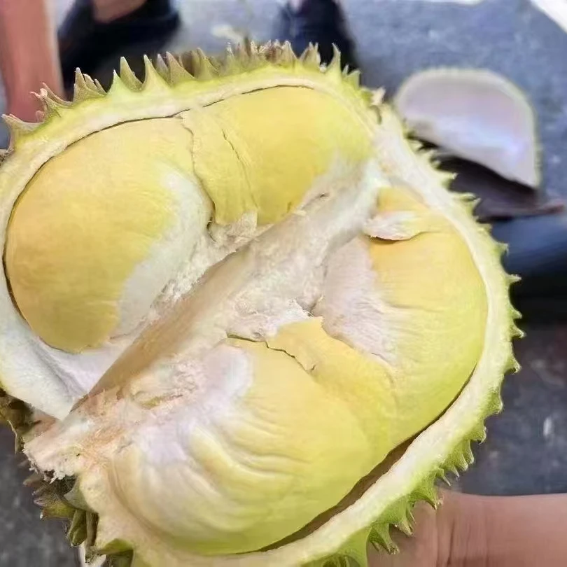 【福利1.5斤】清川福利新鲜现开泰国金枕榴莲果肉 核小金枕泰国