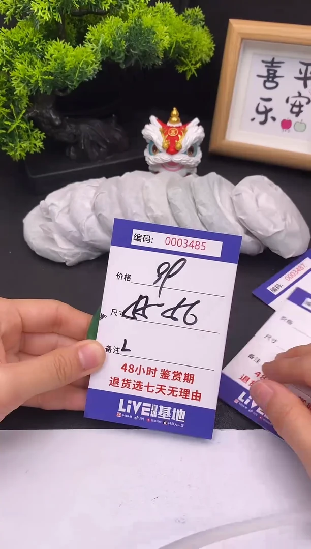 未镶嵌手镯翡翠0003485