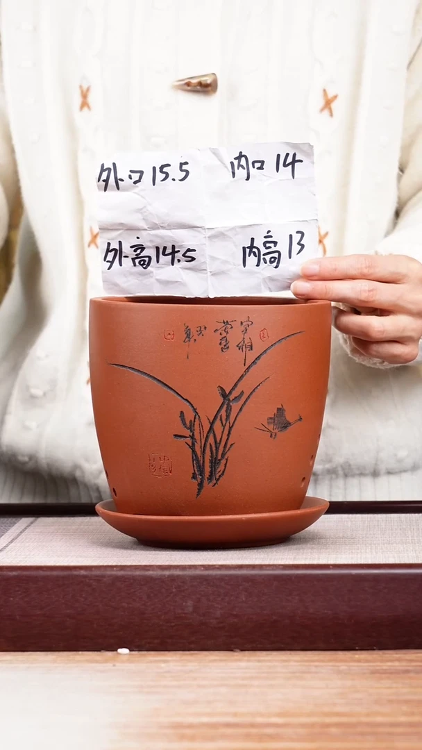 紫砂花盆清水泥君子兰2号一只带托
