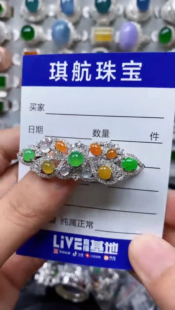 【闪购商品】翡翠颈饰银S925镶嵌0290