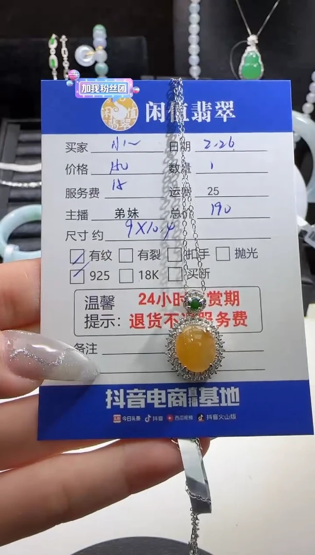 【闪购商品】翡翠项链银S925镶嵌翡翠项链