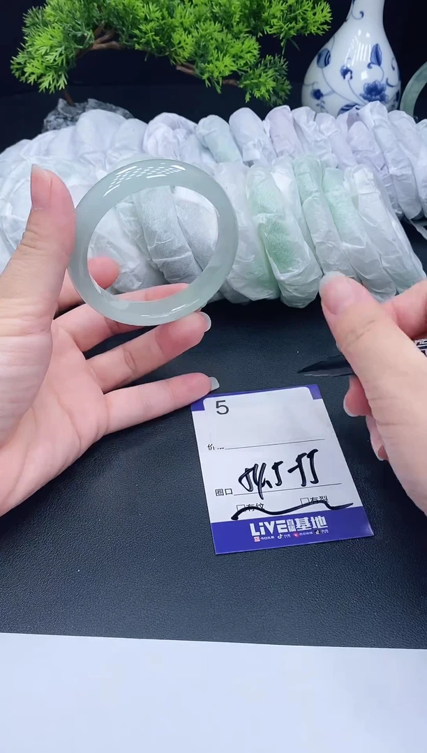 未镶嵌手镯翡翠5
