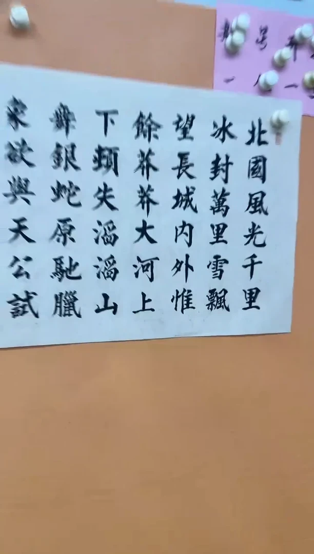 书法沁园春雪楷书作品