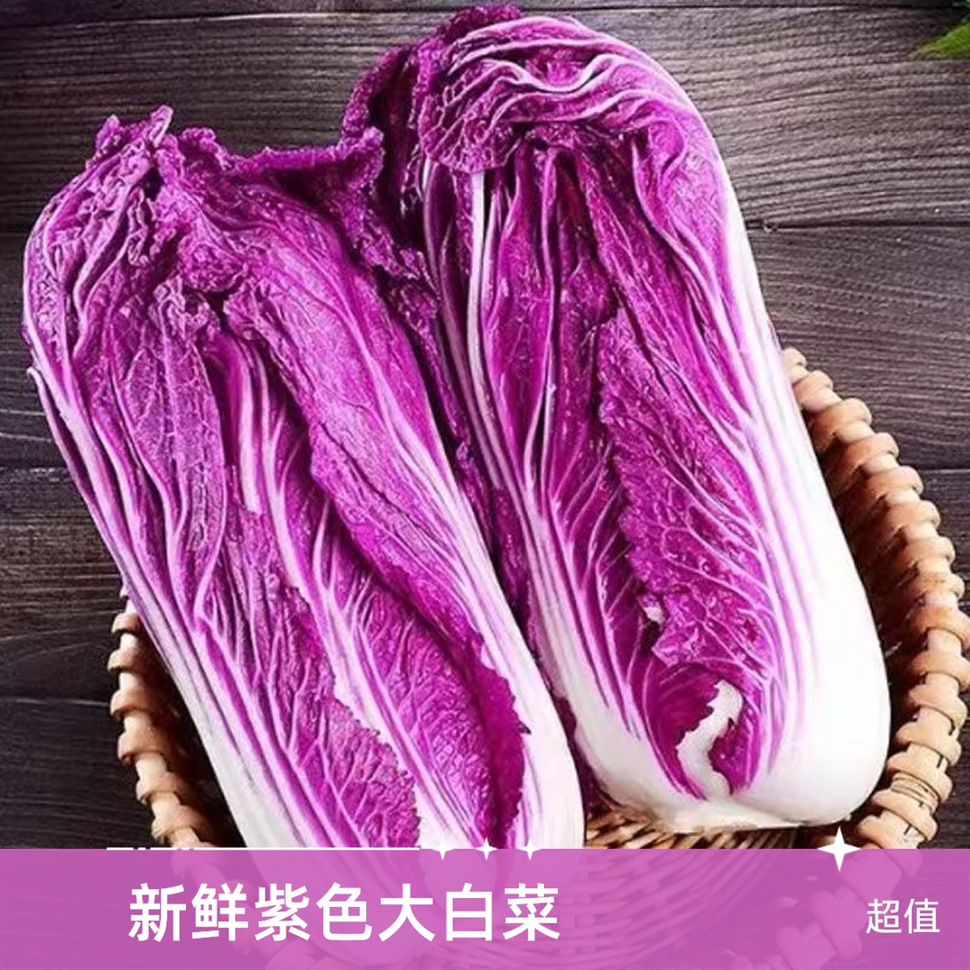 莘硕新鲜紫罗兰大白菜紫色包心菜生吃凉拌蔬菜