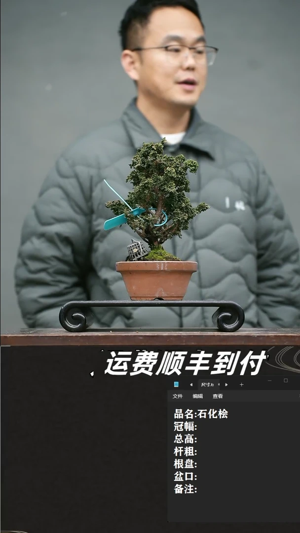 【闪购商品】19 石化桧