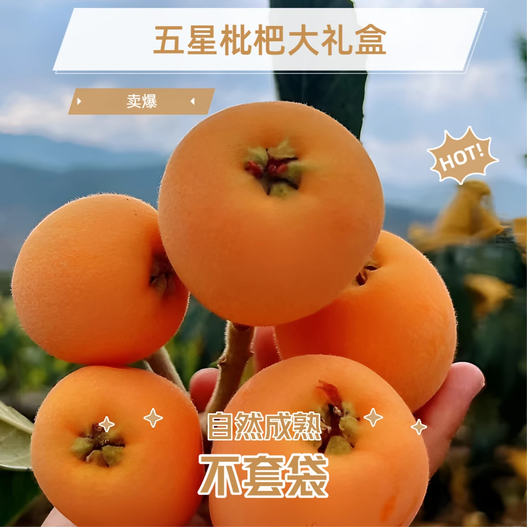 5斤装巫山五星大果枇杷长江边水果水果之乡爆甜汁果园礼盒包邮