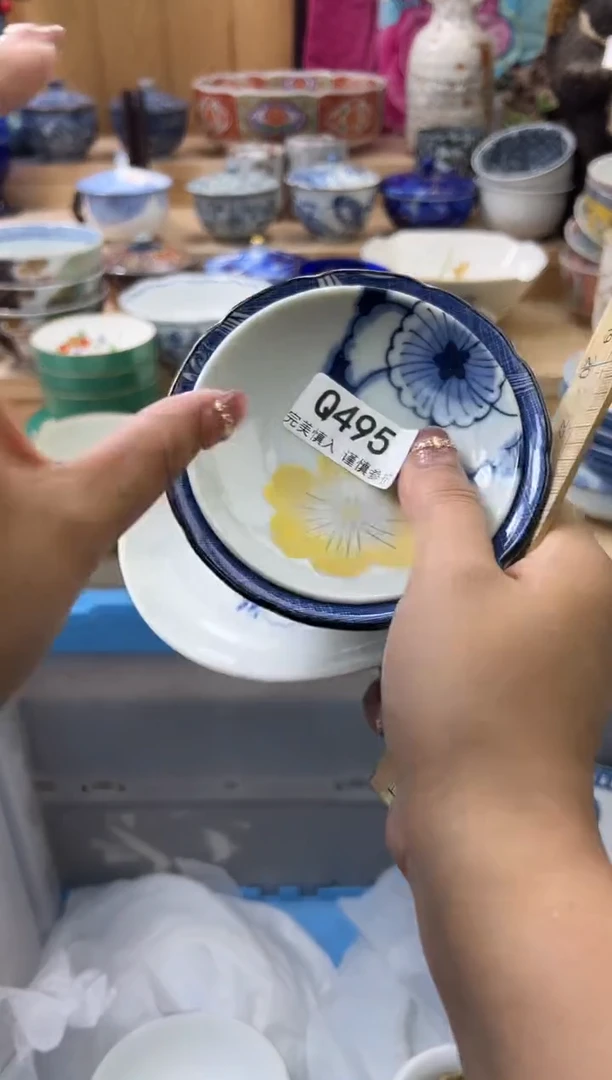 【闪购商品】瓷片495qqqqqqqqqqqq