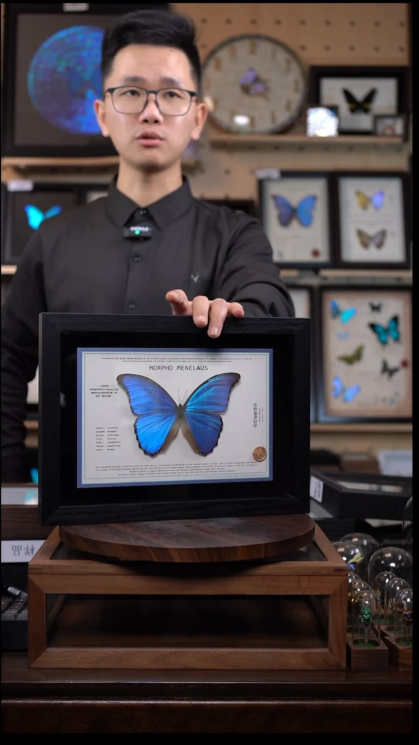 蓝闪悬浮款A4黑色平面框带证书