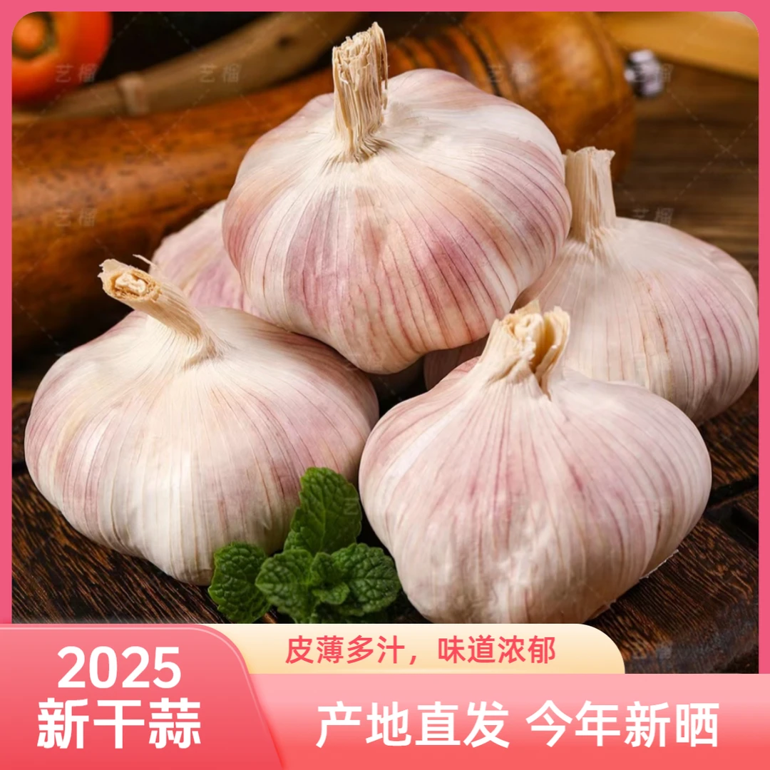 正宗紫皮独头大蒜新鲜现挖香辣饱满可腌制调味