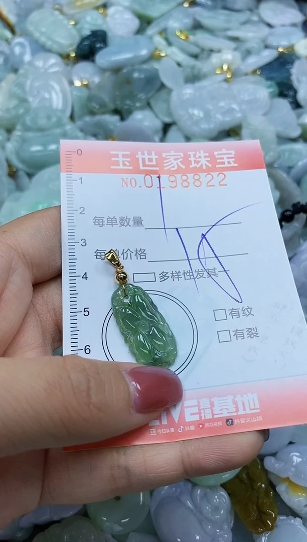 【闪购商品】翡翠颈饰未镶嵌闪购0198822