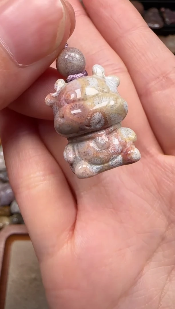 硅化珊瑚（珊瑚玉）未镶嵌颈饰194