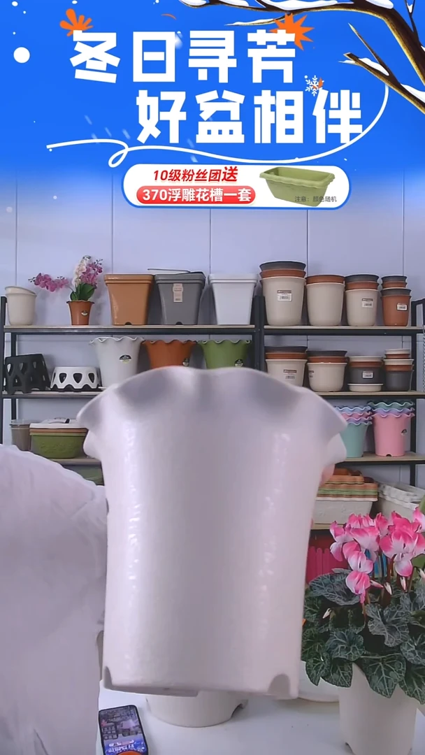 荷叶边5002米白10套带托盘