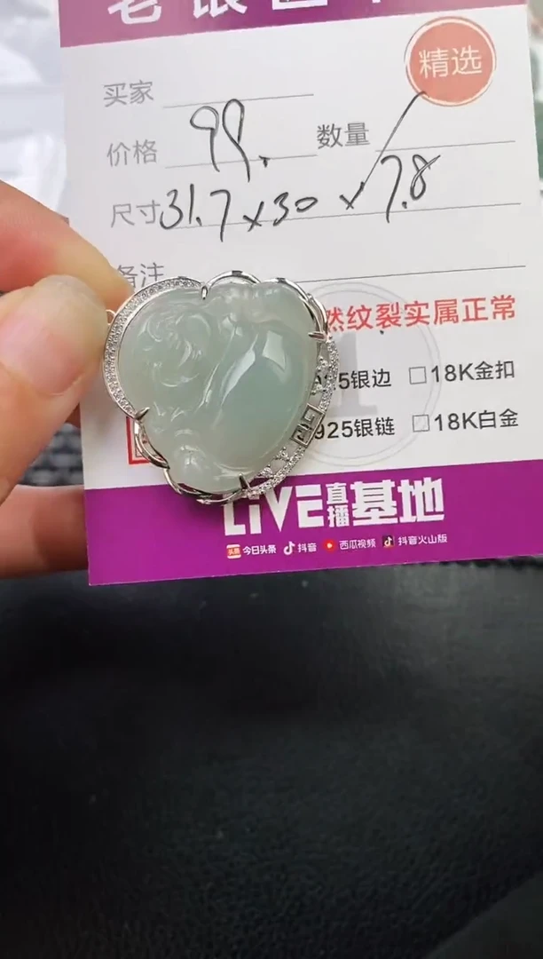 翡翠银S925镶嵌颈饰·